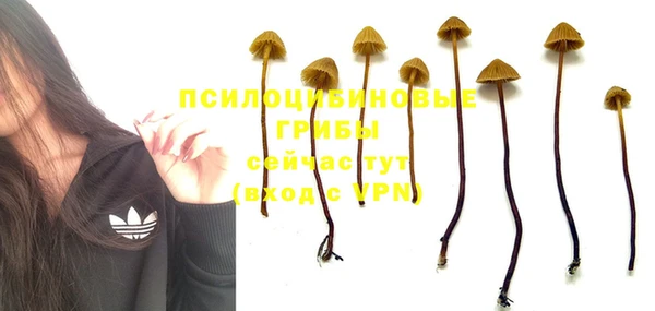 ешки Сафоново