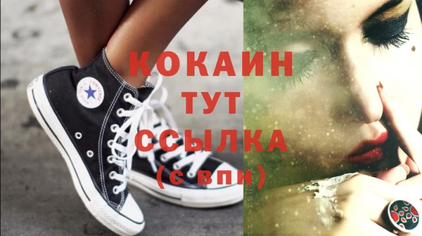 прущие грибы Саяногорск