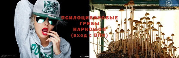 эйфоретик Алексин